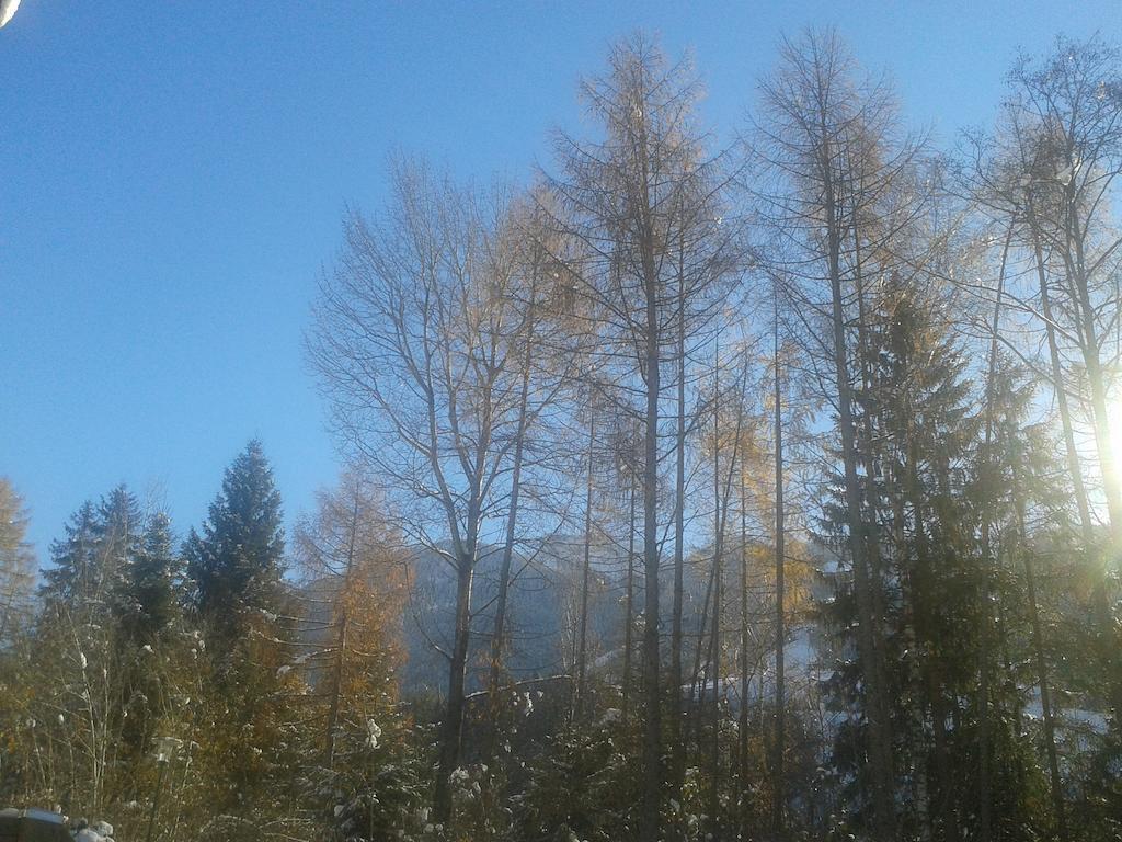 Haus Roland Apartment Zell am Ziller Luaran gambar
