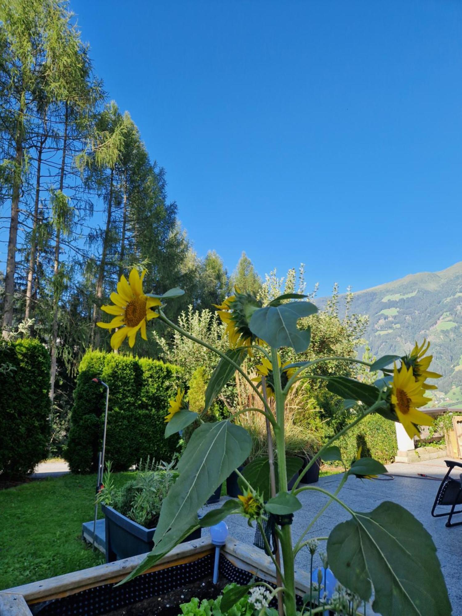 Haus Roland Apartment Zell am Ziller Luaran gambar